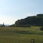 Becerca Vegan * Serra San Quirico
