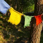 Farm stay Becerca Vegan Serra San Quirico