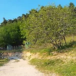 Becerca Vegan *