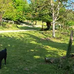 Becerca Vegan Farm stay Serra San Quirico