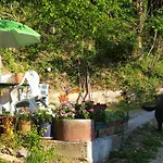 Becerca Vegan