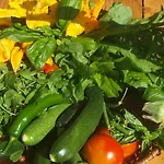 Becerca Vegan Farm stay *
