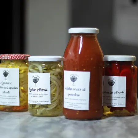 Alloggio per agriturismo Becerca Vegan *