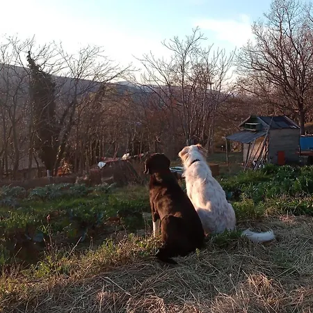 Becerca Vegan * Serra San Quirico