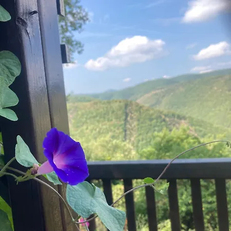 Becerca Vegan Farm stay Serra San Quirico