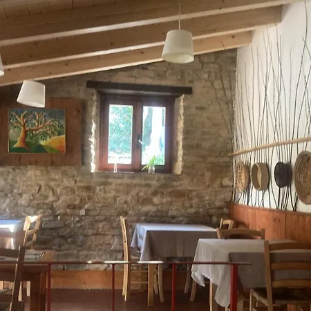 Becerca Vegan
