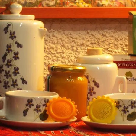 Becerca Vegan Farm stay Serra San Quirico