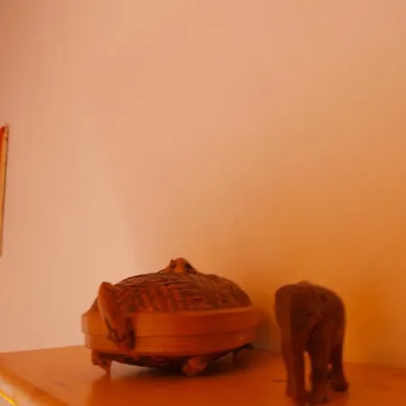 Becerca Vegan * Serra San Quirico