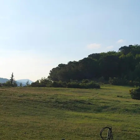 Becerca Vegan * Serra San Quirico