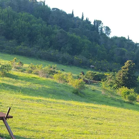 Becerca Vegan Alloggio per agriturismo Serra San Quirico