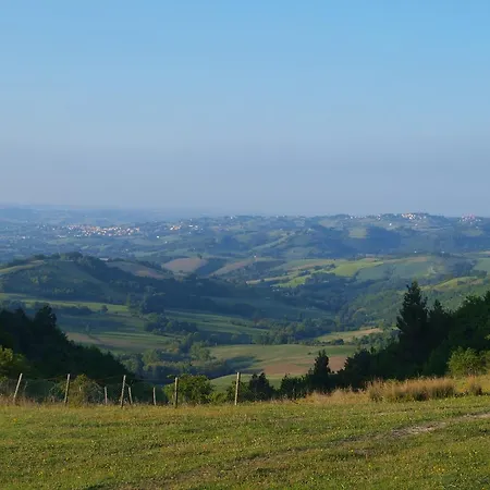 Becerca Vegan Serra San Quirico
