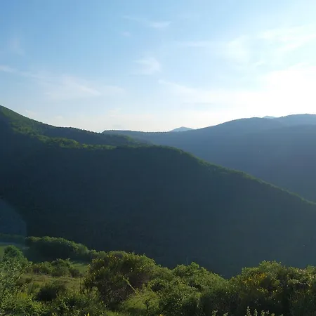 Feriegård Becerca Vegan *