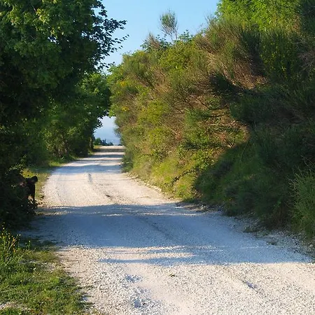 Becerca Vegan Alloggio per agriturismo *