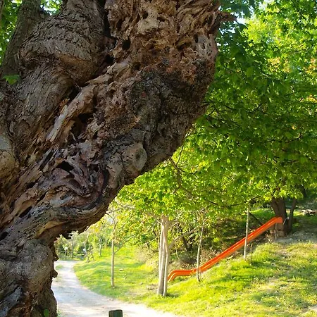 Feriegård Becerca Vegan