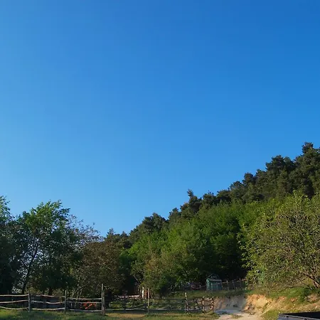Alloggio per agriturismo Becerca Vegan