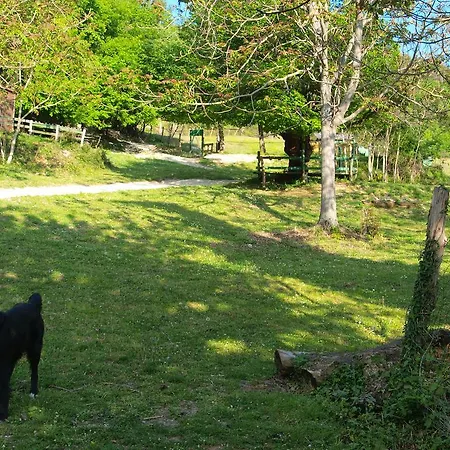 Becerca Vegan Alloggio per agriturismo Serra San Quirico