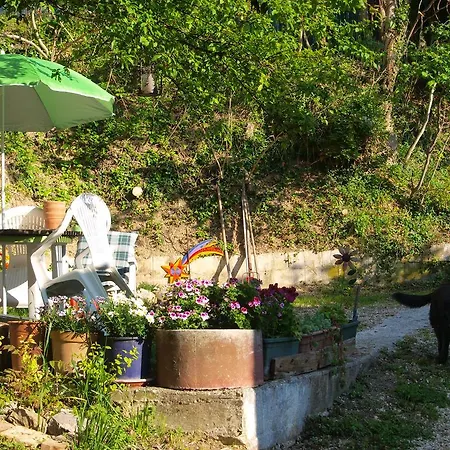 Becerca Vegan