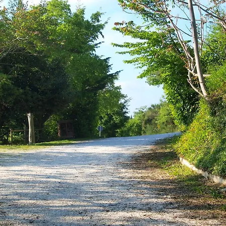 Becerca Vegan Feriegård Serra San Quirico