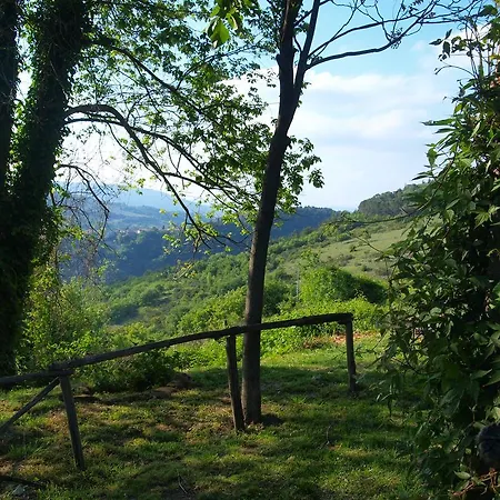 Alloggio per agriturismo Becerca Vegan Serra San Quirico