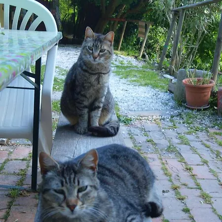 Becerca Vegan Feriegård Serra San Quirico