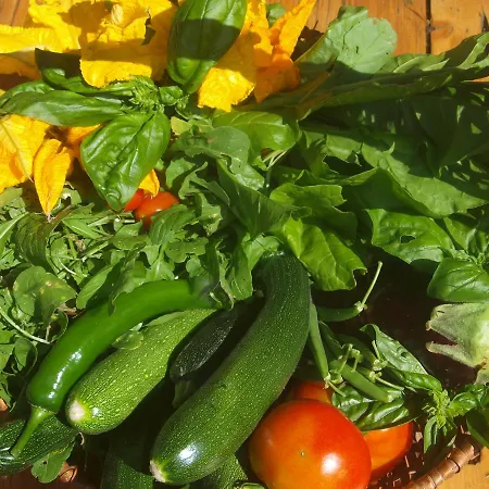 Becerca Vegan Alloggio per agriturismo *