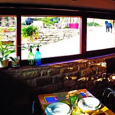 Alloggio per agriturismo Becerca Vegan Serra San Quirico