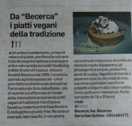 Becerca Vegan